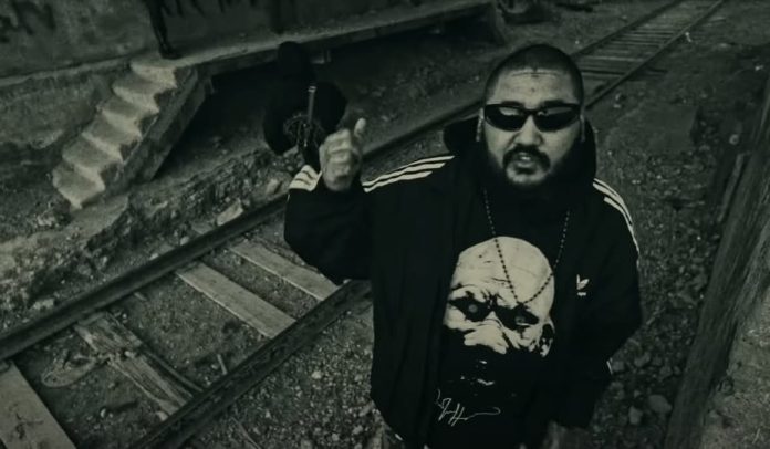 Реппер 113