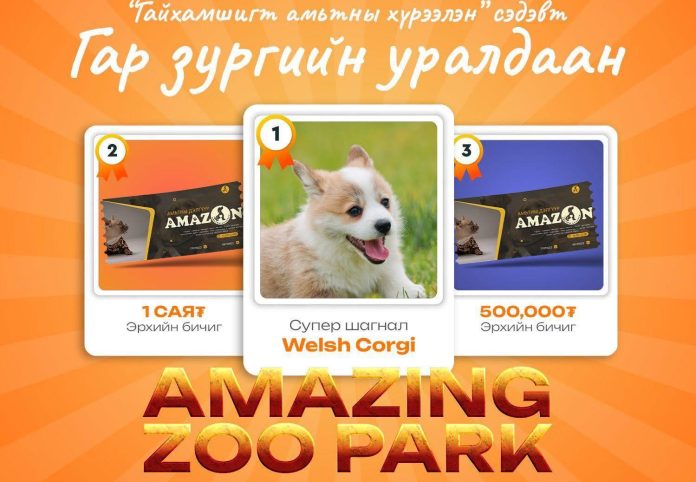 AMAZING ZOO PARK