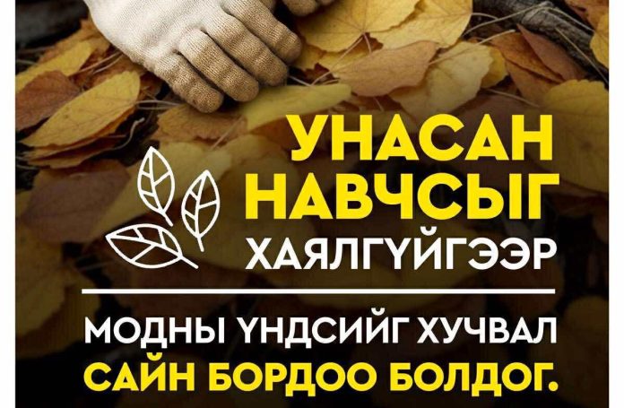 Алтан намар-Тарьсан модоо арчилцгаая