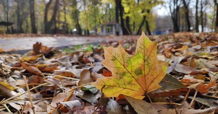 Лхагва гараг хүртэл дулаан өдрүүд үргэлжилнэ