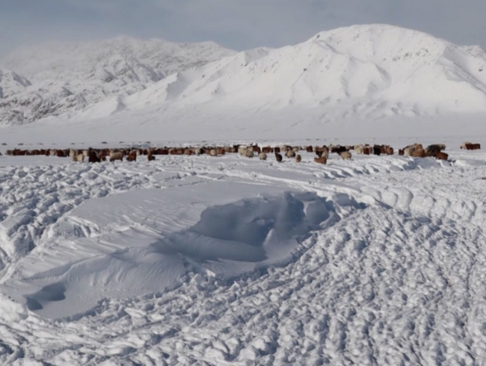Зудын урьдчилсан төлөв: Баян-Өлгий, Увсын ихэнх нутагт хүндрэлтэй