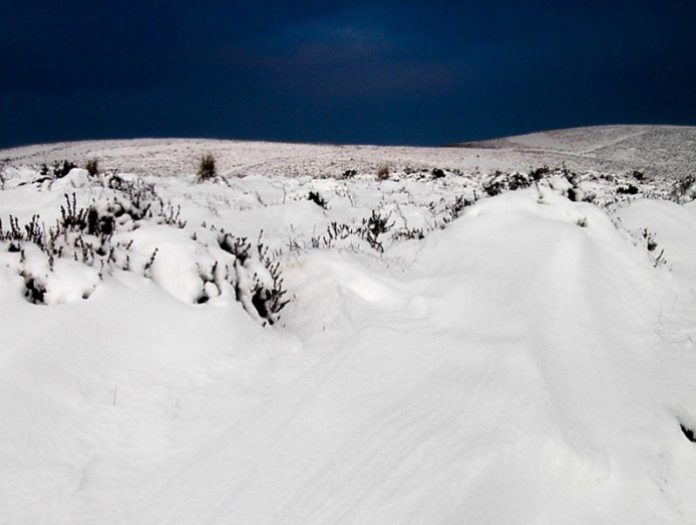 монголын цас