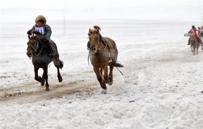 Өвөл, хаврын морины уралдаанд унаачаар