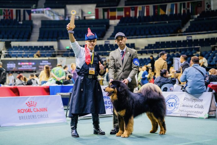 Т.Түвшинтөр