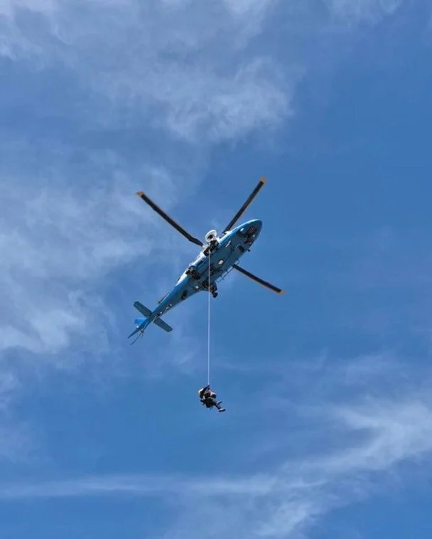 АНУ-д жуулчин 100 гаруй удаа зөгийд хатгуулж, нисдэг тэргээр хүргэгджээ