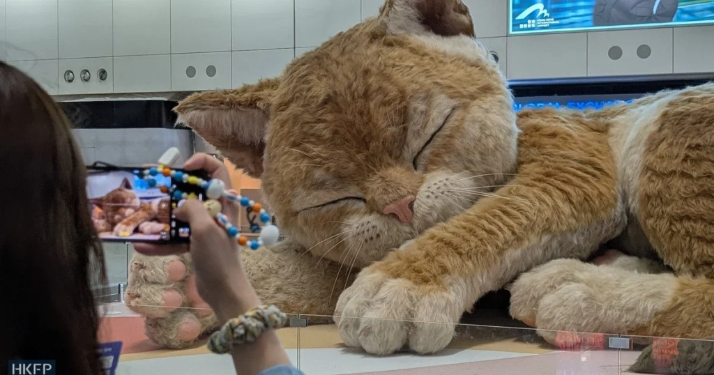 Хонгконгийн нисэх буудалд аварга том муур байрлуулжээ