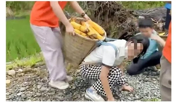 Хятадад эцэг эхчүүд хүүхдээ ферм дээр ажиллуулахын тулд мянга мянган юань төлж байна: яагаад тэднийг “сорилтын зуслан”-д явуулдаг вэ 1 сорилтын зуслан