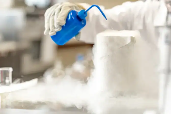 Southern Cryonics
